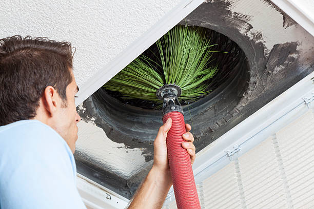 Best Air Duct Cleaning Company Near Me  in Van Vleck, TX